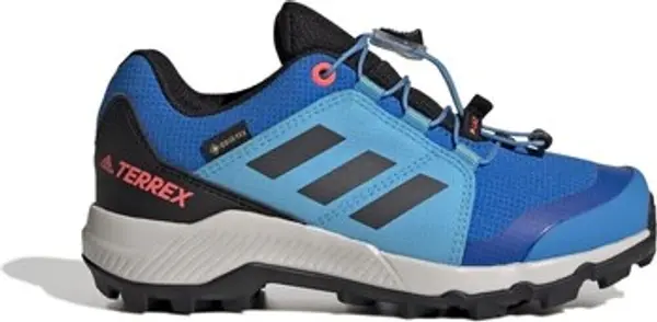 adidas adidas  Niske tenisice Terrex Gtx  adidas