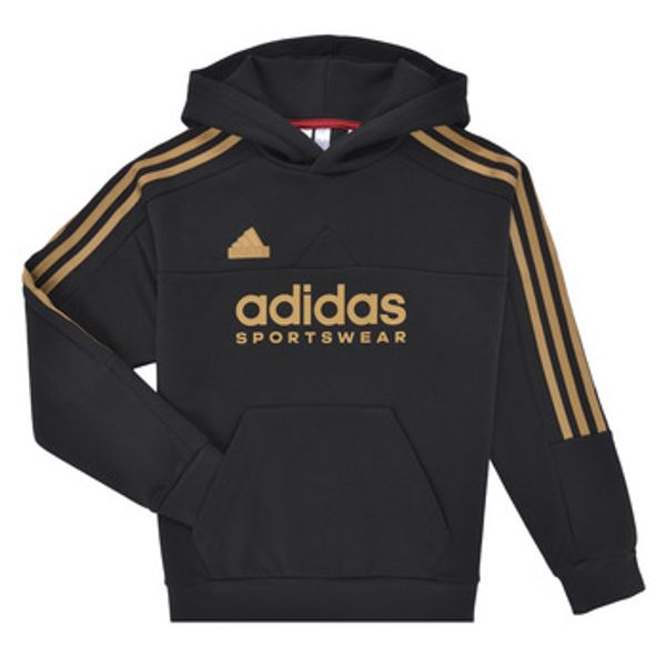 adidas adidas  Sportske majice Tiro Nations Pack Hood  adidas