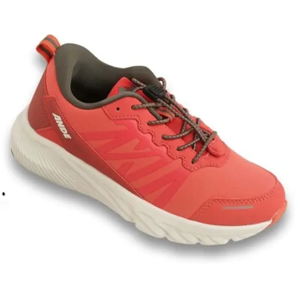 Ande Ande  Running/Trail Coldai Jr  Ande