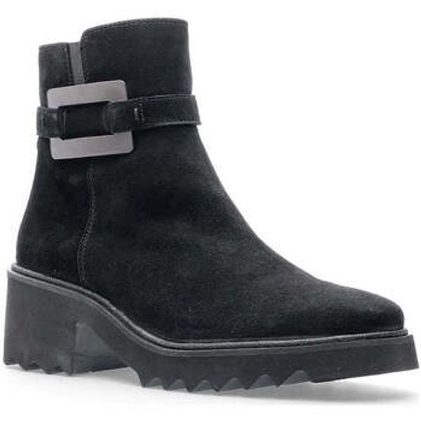 Ara Ara  Gležnjače -  Ara