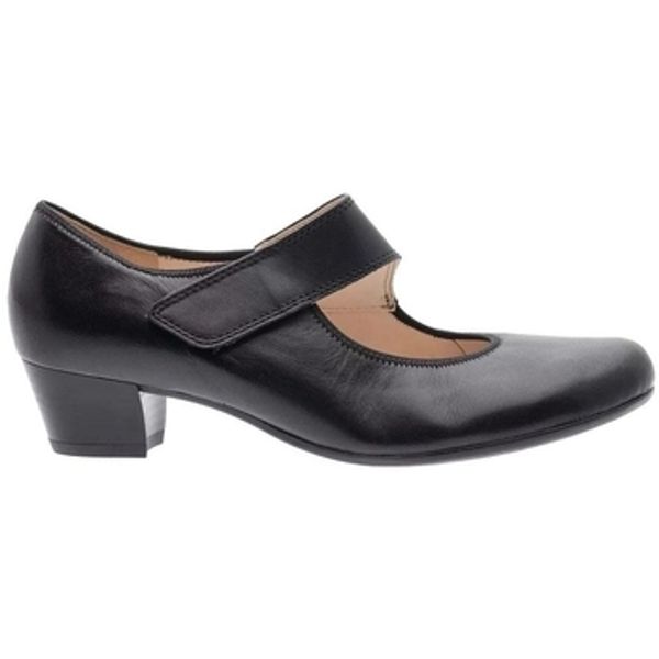 Ara Ara  Gležnjače CATANIA  Ara