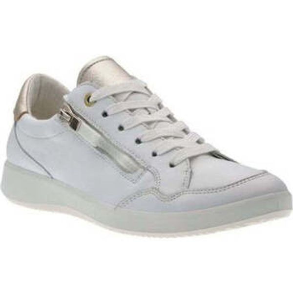 Ara Ara  Mokasinke -  Ara