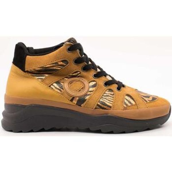 Aro Aro  Modne tenisice -  Aro