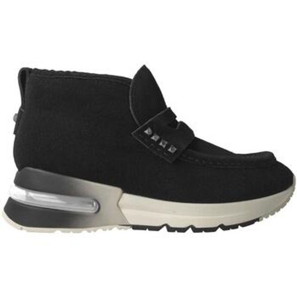 Ash Ash  Gležnjače -  Ash