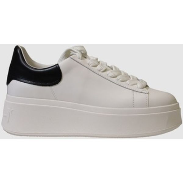 Ash Ash  Modne tenisice MOBY  Ash