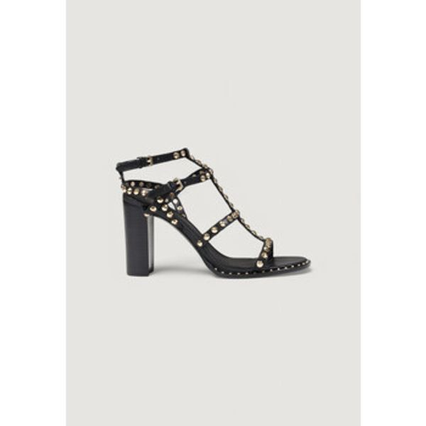 Ash Ash  Salonke S25-KARMA01  Ash