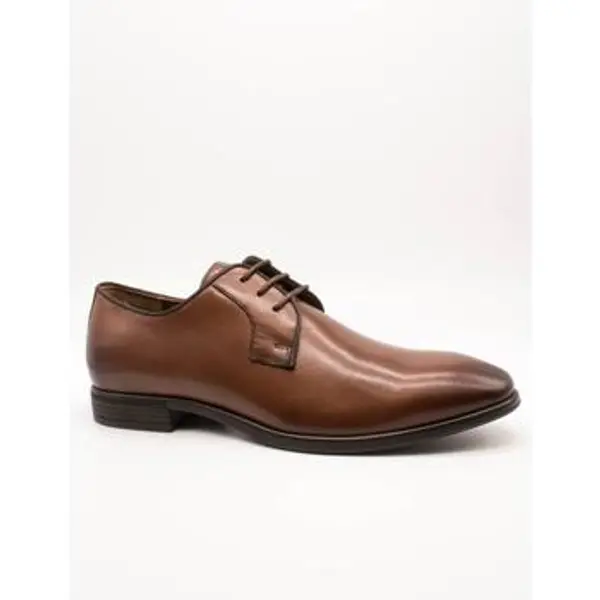 Baerchi Baerchi  Derby cipele 1090 Napa Cuero Juca  Baerchi