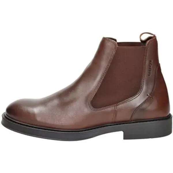Baerchi Baerchi  Polučizme 1164  Baerchi