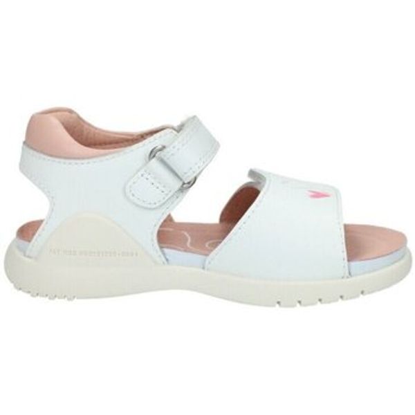 Biomecanics Biomecanics  Sandale i polusandale -  Biomecanics