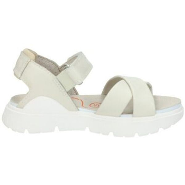 Biomecanics Biomecanics  Sandale i polusandale -  Biomecanics