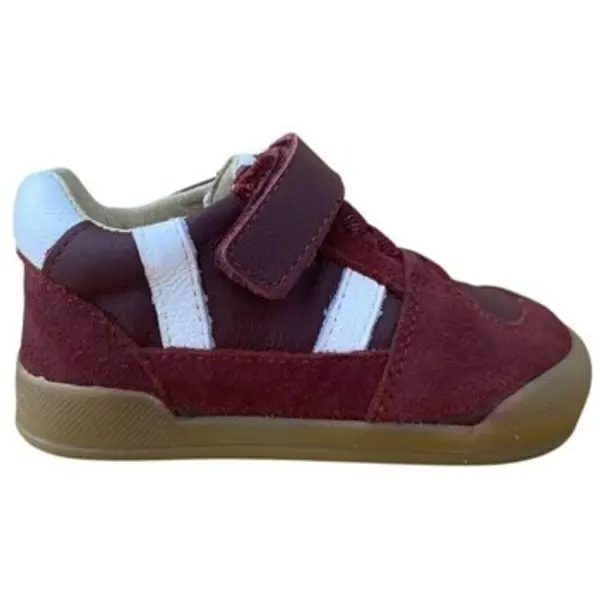 Blanditos Blanditos  Niske tenisice NEPAL DEPORTIVA RESPETUOSA Burdeos  Blanditos
