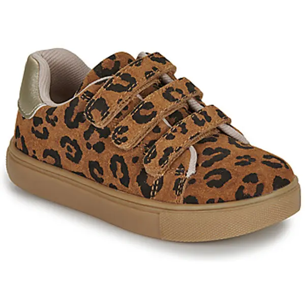 Bonton Bonton  Niske tenisice BASIL SCRATCH  Bonton