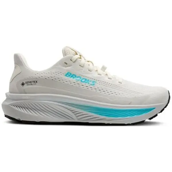 Brooks Brooks  Running/Trail Ghost 17 Gtx  Brooks