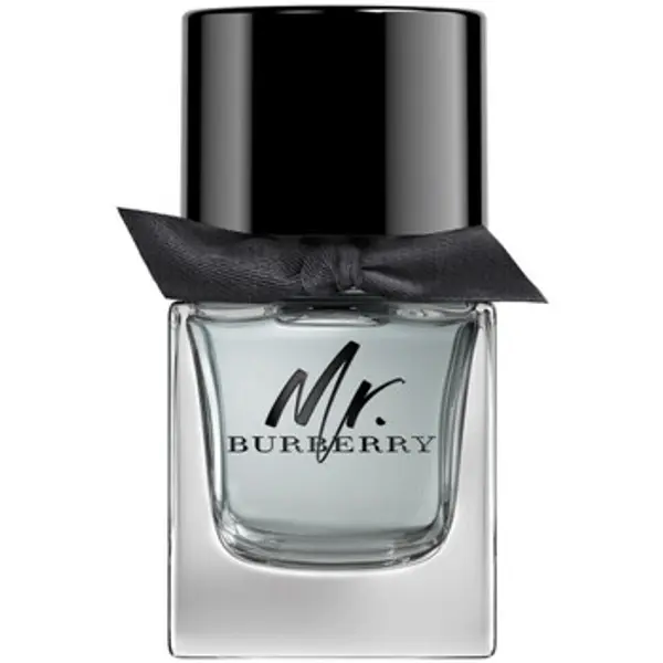 Burberry Burberry  Toaletna voda Mr  Eau de Toilette 50 ml  Burberry