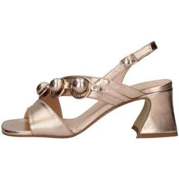 Café Noir Café Noir  Salonke -  Café Noir