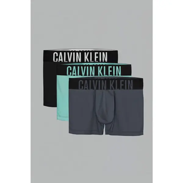 Calvin Klein Jeans Calvin Klein Jeans  Gaće Ropa Interior Hombre Modèle 000nb3608a  Calvin Klein Jeans