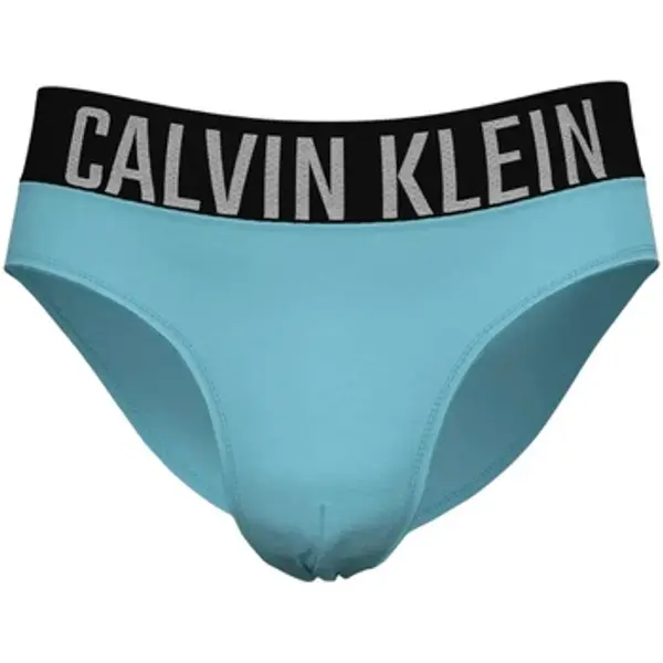 Calvin Klein Jeans Calvin Klein Jeans  Kupaći kostimi / Kupaće gaće BRIEF LV00N61016  Calvin Klein Jeans