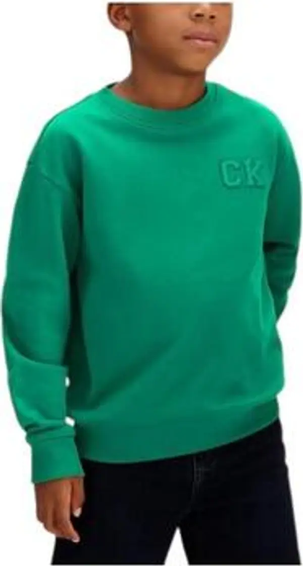 Calvin Klein Jeans Calvin Klein Jeans  Sportske majice LVCKSJB07BMRW  Calvin Klein Jeans