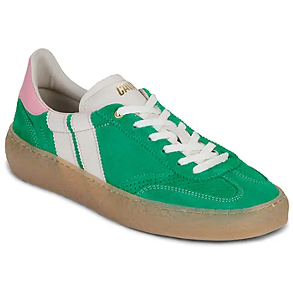 Caval Caval  Niske tenisice HIGH PULSE PINE BLOOM  Caval