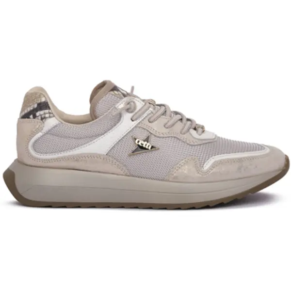 Cetti Cetti  Modne tenisice SATURNO MESH IVORY  Cetti