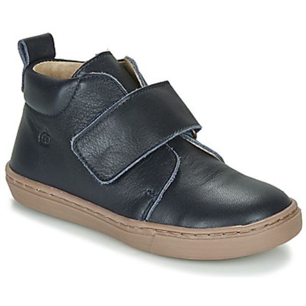 Citrouille et Compagnie Citrouille et Compagnie  Polučizme FOJAMO  Citrouille et Compagnie