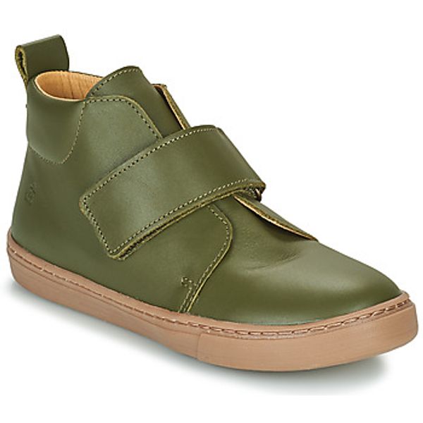 Citrouille et Compagnie Citrouille et Compagnie  Polučizme FOJAMO  Citrouille et Compagnie