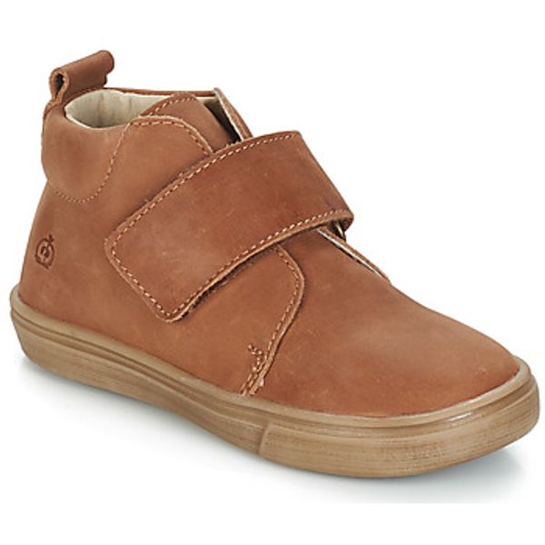 Citrouille et Compagnie Citrouille et Compagnie  Polučizme FOJAMO  Citrouille et Compagnie