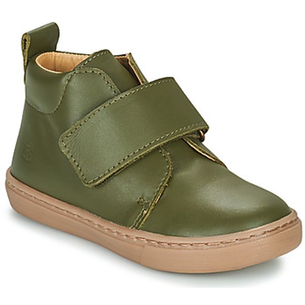 Citrouille et Compagnie Citrouille et Compagnie  Polučizme FOJAMO  Citrouille et Compagnie