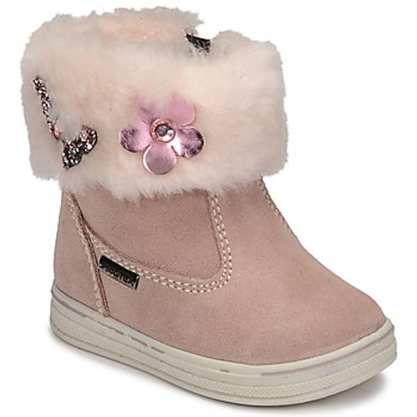 Citrouille et Compagnie Citrouille et Compagnie  Polučizme PALADOU  Citrouille et Compagnie