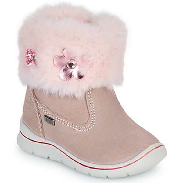 Citrouille et Compagnie Citrouille et Compagnie  Polučizme PALADOU  Citrouille et Compagnie