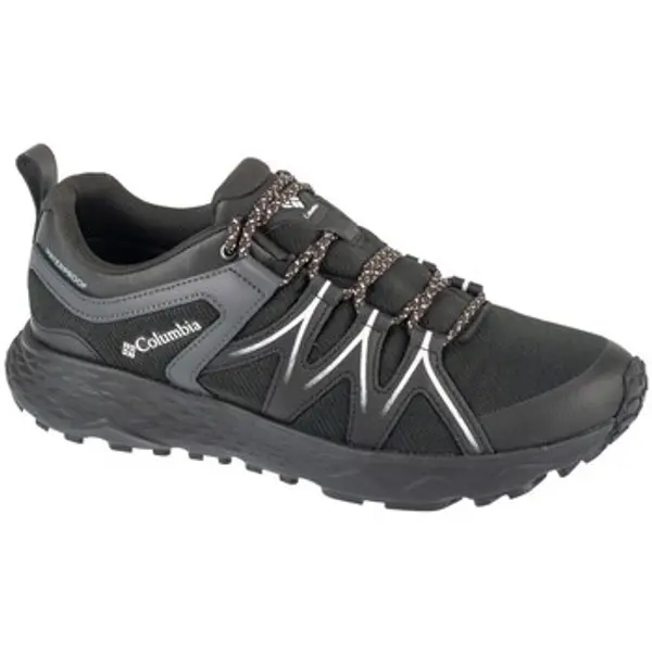 Columbia Columbia  Niske tenisice Peakfreak Roam Wp  Columbia