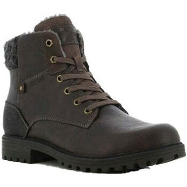 Cortina Cortina  Polučizme -  Cortina