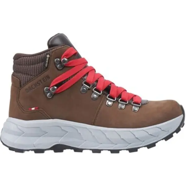 Dachstein Dachstein  Čizme Atlax GTX  Dachstein