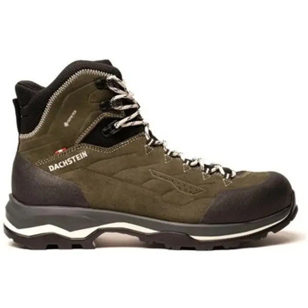 Dachstein Dachstein  Čizme Sarstein GTX  Dachstein