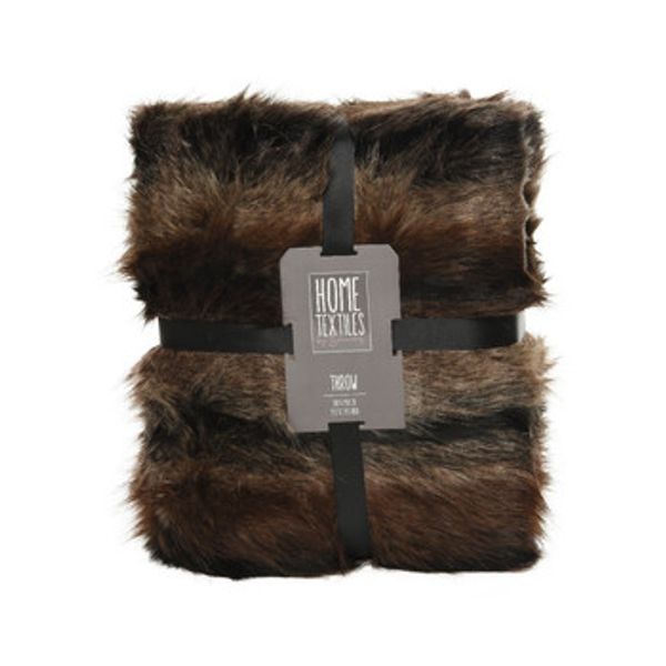 Decoris Decoris  Deke BRUNO  Decoris