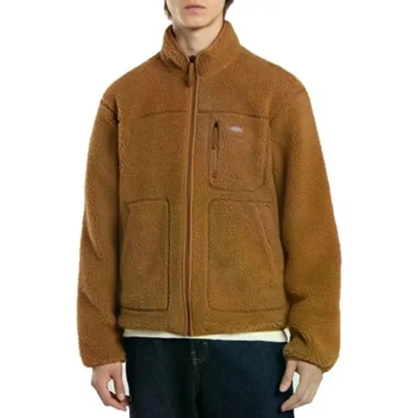 Dickies Dickies  Flisevi Chaquetas Hombre Modèle Mount Hope  Dickies
