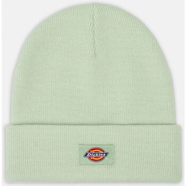 Dickies Dickies  Kape Gibsland beanie  Dickies