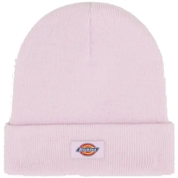 Dickies Dickies  Kape Gorros Mujer Modèle Gibsland  Dickies