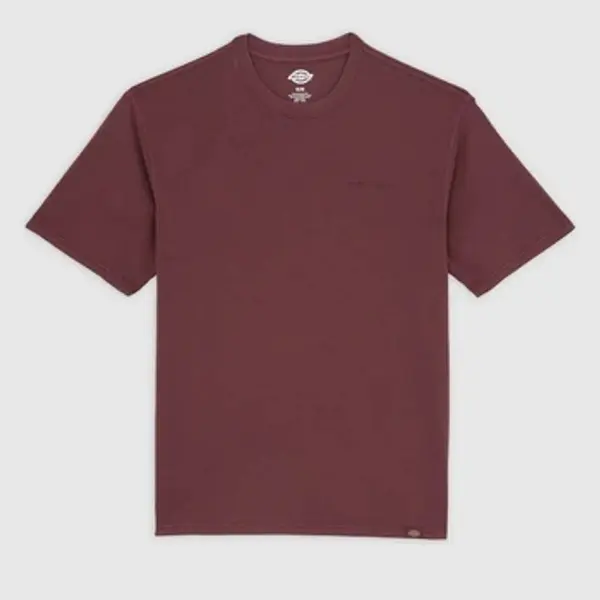 Dickies Dickies  Majice kratkih rukava Camisetas Hombre Modèle Dk0a866bl331  Dickies
