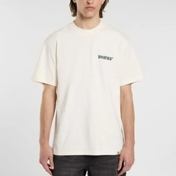 Dickies Dickies  Majice kratkih rukava Camisetas Hombre Modèle Gordonsville  Dickies