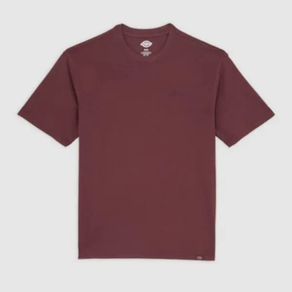 Dickies Dickies  Majice kratkih rukava Camisetas Hombre Modèle Slayden Gd  Dickies