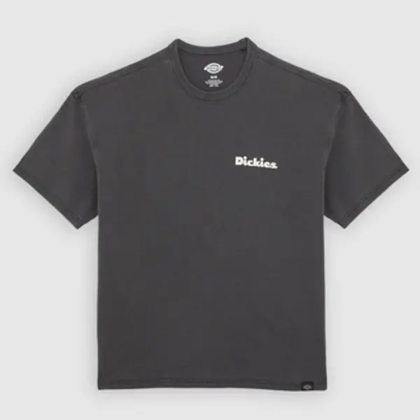 Dickies Dickies  Majice kratkih rukava Camisetas Hombre Modèle Slayden Gd  Dickies