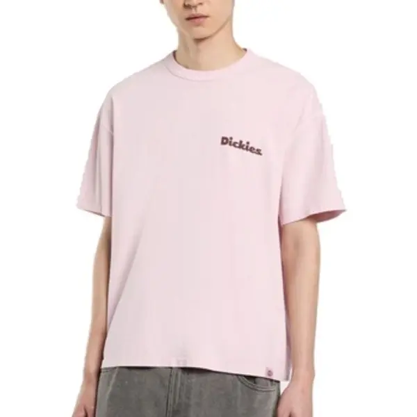 Dickies Dickies  Majice kratkih rukava Camisetas Hombre Modèle Slayden Gd Tee  Dickies
