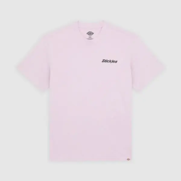 Dickies Dickies  Majice kratkih rukava Camisetas Hombre Modèle Statesville Tee  Dickies
