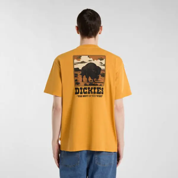 Dickies Dickies  Majice kratkih rukava Darrtown ss tee  Dickies