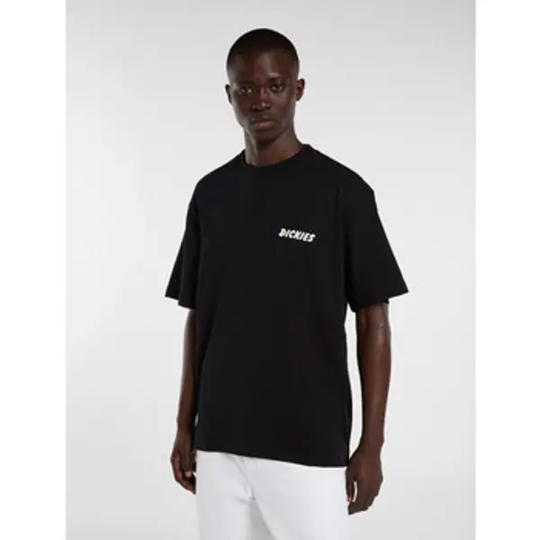 Dickies Dickies  Majice kratkih rukava Dry ridge ss tee  Dickies