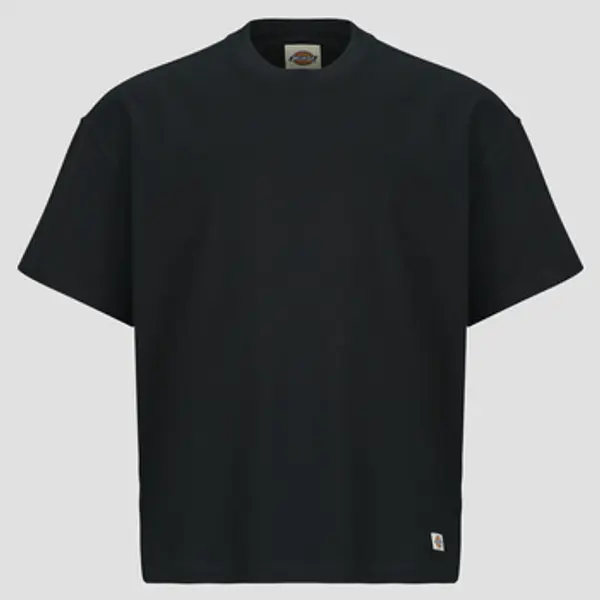 Dickies Dickies  Majice kratkih rukava MINERAL HEAVYWEIGHT SS TEE BLACK  Dickies