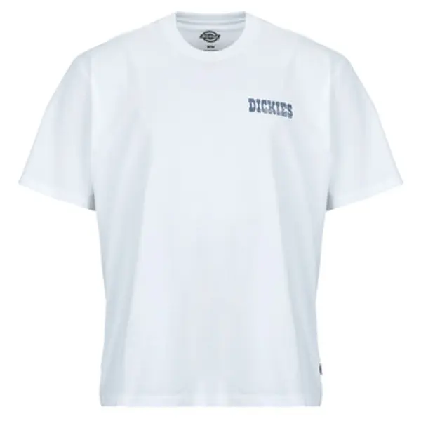 Dickies Dickies  Majice kratkih rukava PLAIN CITY SS TEE WHITE  Dickies