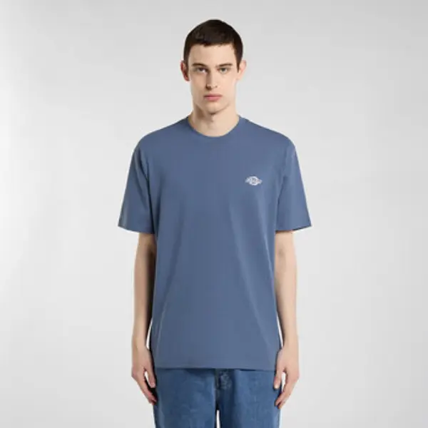 Dickies Dickies  Majice kratkih rukava Summerdale ss tee  Dickies