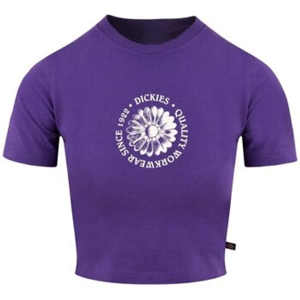 Dickies Dickies  Majice / Polo majice DK0A4YHAF931  Dickies